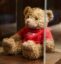 St. Jude Bear icon