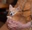 RIP Wilma icon