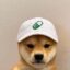 pup icon