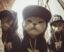 HOOD CAT icon