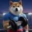 Sports Inu icon