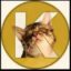 Kibicoin icon