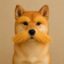 The Lorax Inu icon