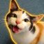ミケちゃん icon