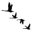 The Waterfowl Sanctuary icon
