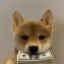 Dividend Inu icon