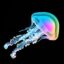 Jellectronica icon