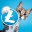 Valuecat icon