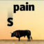 S(Pain) icon