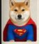 Know Your Super Intelligence icon