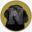 NOGE icon