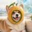Corgi Mangos icon