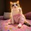 Neng Molen icon