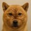 inus icon