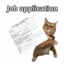 Job Application icon