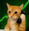 Callcat icon