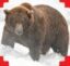 164 Bucky icon