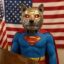 Super Government Inu icon