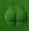 GRASS icon
