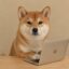 User Inu icon
