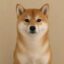 Shiba Inu icon