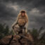 Everything Is Gone icon