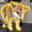 The Chubby Inu icon