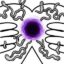 WORMHOLE icon
