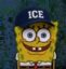 ICEBOB icon