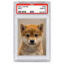 Inutangible icon