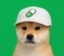 pup icon
