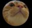 Astronaut Vibes Mcpuff icon