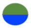 PepeCoin icon