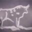 Bullcasso icon