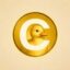 Coin Coin icon