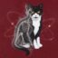 Schrödinger's Cat icon