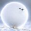 Svalbard Rock Ptarmigan icon