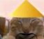 Gatochino icon