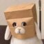 ZBUNNY icon