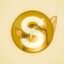 Shinjocoin icon