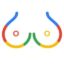 Googles icon