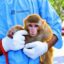 Space Monkey icon