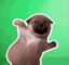 Jiggly Piggly Wiggly Dog icon