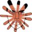 Claudechud icon
