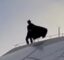 New South Gotham icon
