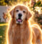 Tucker's Final Mission icon