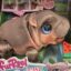 Sally The Silly Hippo icon