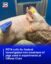 Justice For The Pigs icon