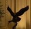 TheEagleRapesTheSnake icon