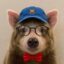dogpigbearboy icon